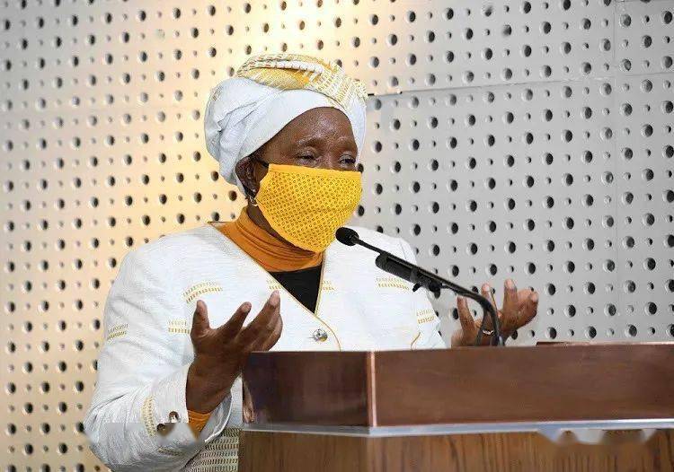 面罩 布口罩 经常负责宣布封锁规则的南非传统事务部部长德拉米尼女士