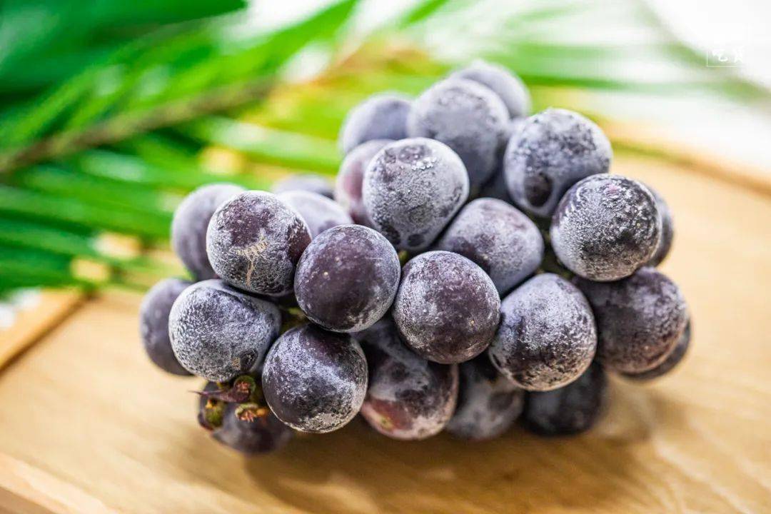 什么冰葡萄,冰提子,冰雪梨,冰芒果,冰龙眼……而是吃冰!冻!水!果!