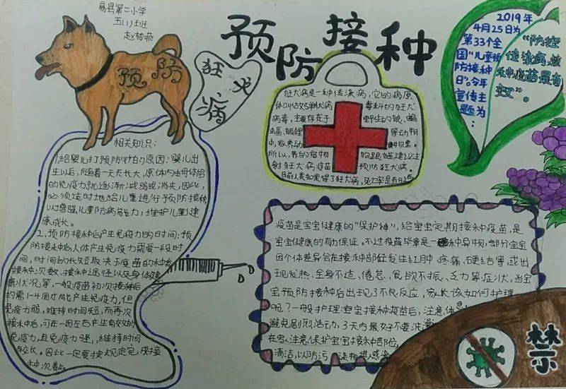 易县优秀学子在2020年保定市预防接种知识手抄报评选中获奖_疫苗