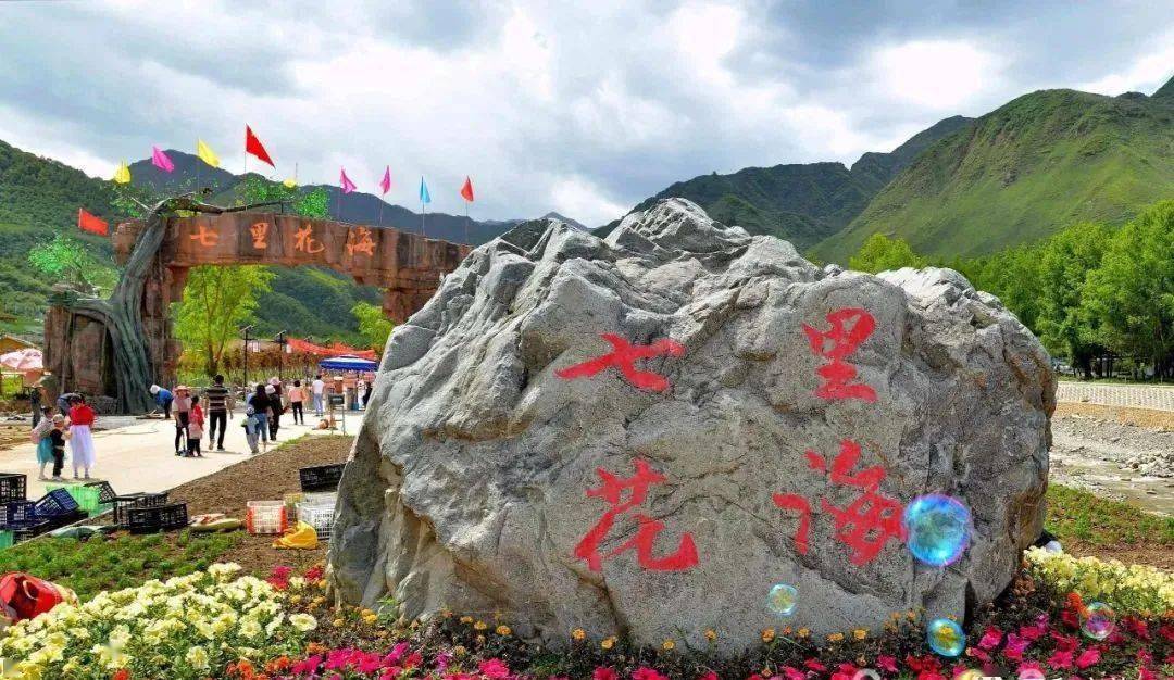 马上立秋,浪山出游看花海要抓紧啦!