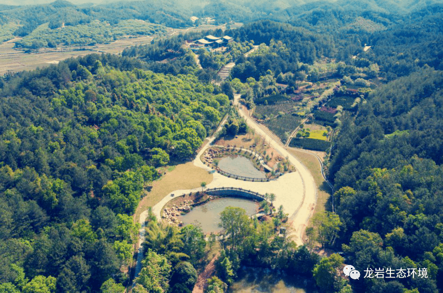 "绿盈乡村"建设|长汀县河田镇露湖村:昔日"火焰山,今朝"花果山