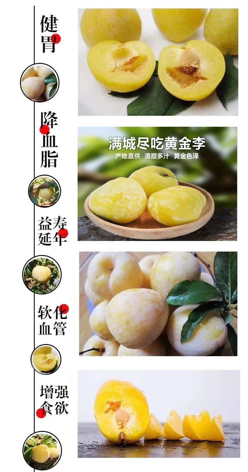 一口爆汁!遇见茶陵泰和仙黄金奈李,是这个夏天最甜的相遇