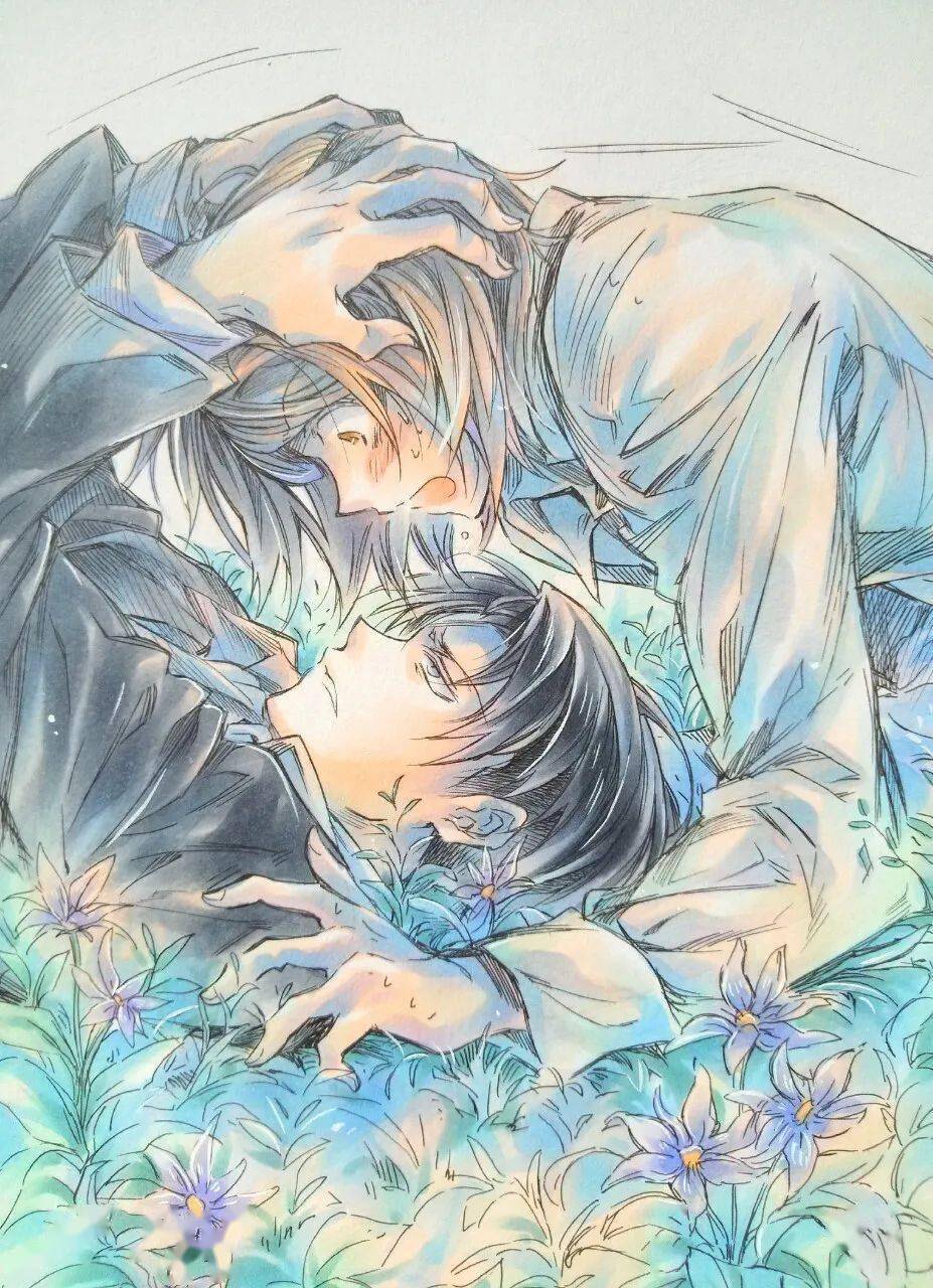 画册进击的巨人cp兵长佩特拉