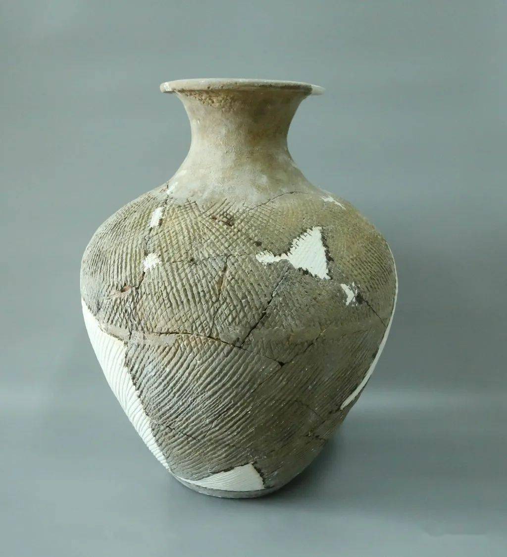 三星堆周边发现重大遗址3000年前土陶猪撞脸愤怒的小鸟视频