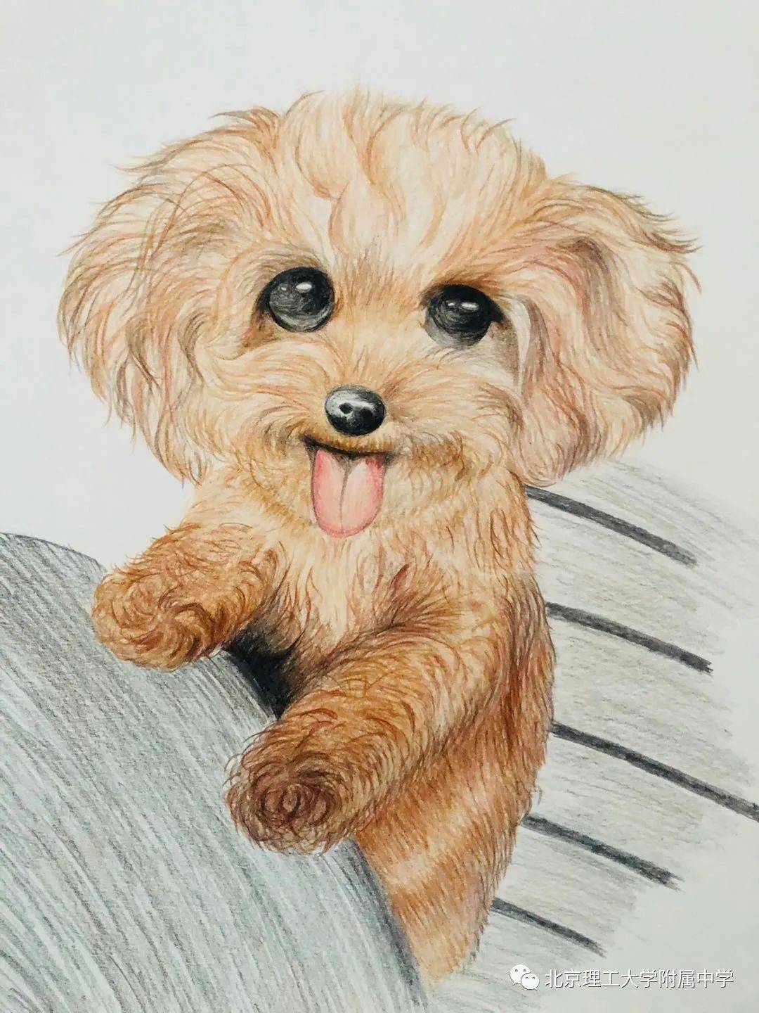 理工61云聚焦知美守艺聚沙成塔理工附中协同创新粉笔画课题组线上