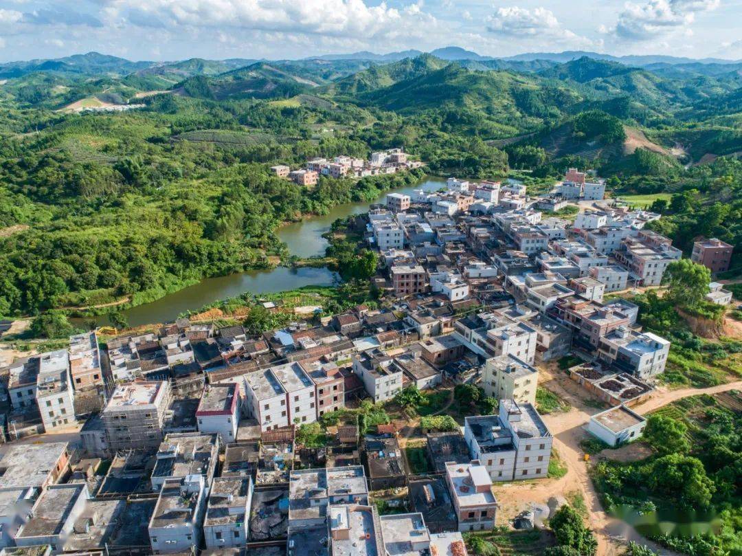 凤梨之乡葵潭圆墩村的红蓝绿