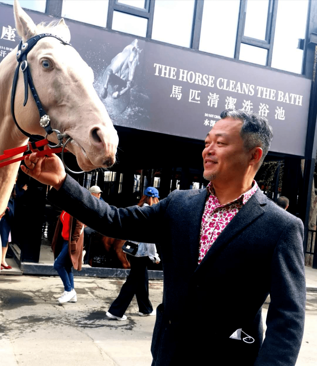 "中国蓝马第一人" 艺术家马东民老师