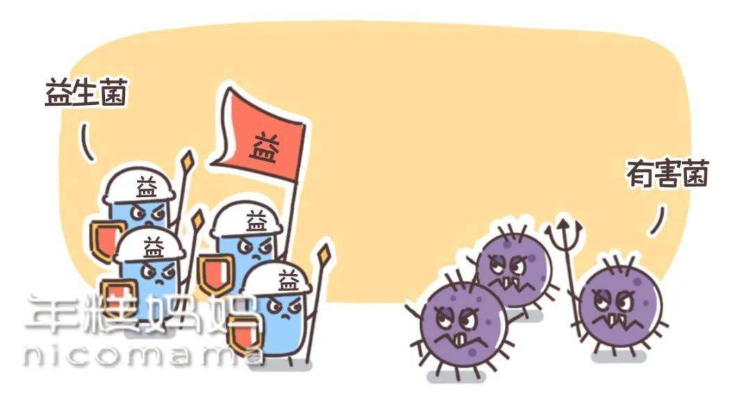 微生物乳酸菌简笔画图片