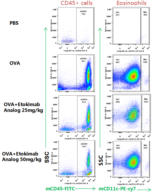 cant breathe?哮喘治疗抗体药物和动物模型来解决