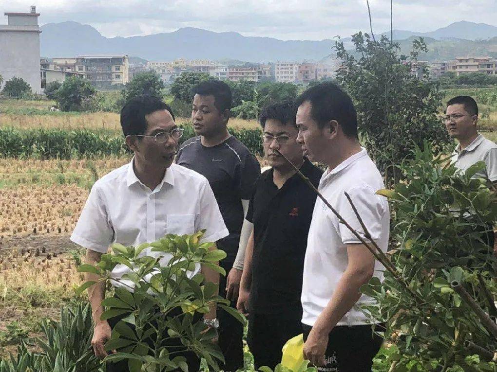 仙游县委书记郑亚木深入赖店镇,鲤城街道的相关企业和项目工地,调研