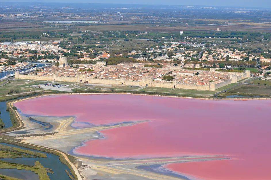 法国人都不知道家门口有个绝美粉红盐湖|有生之年必去打卡_粉色