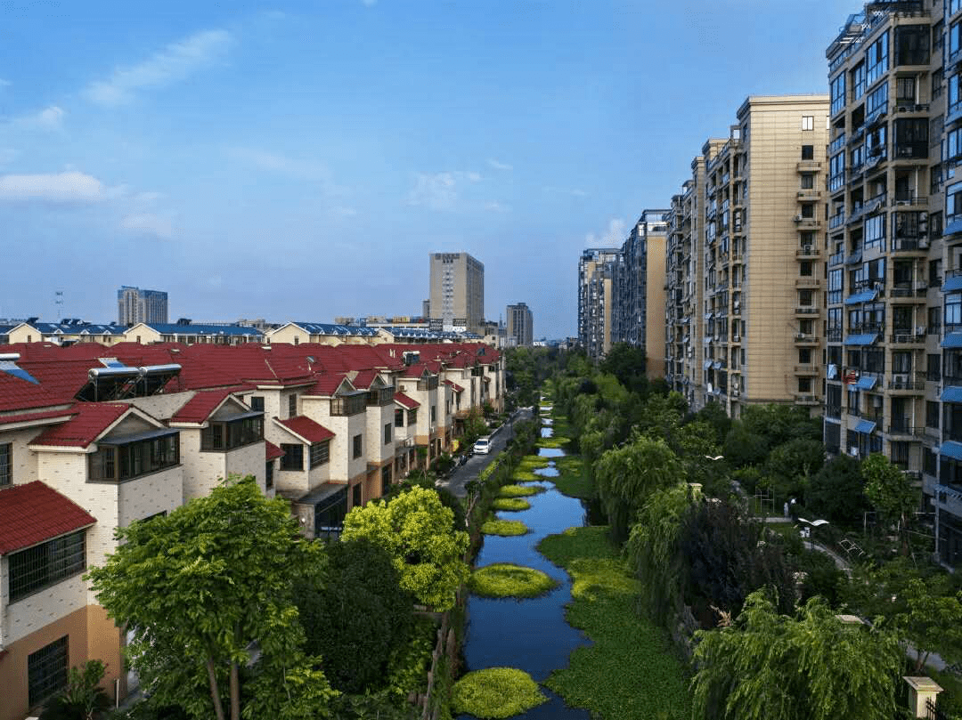 义蓬街道多措并举强化基层服务助力企业发展