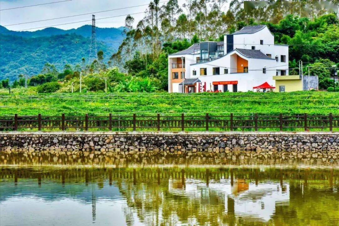 河源这些乡村正参加全省评选,一起为家乡打call!