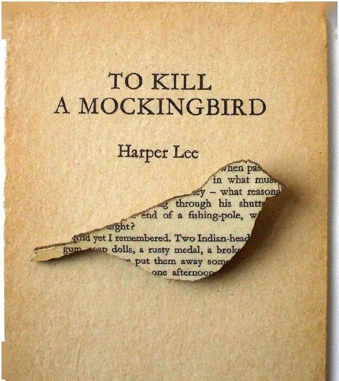 《杀死一只知更鸟》 to kill   mockingbird