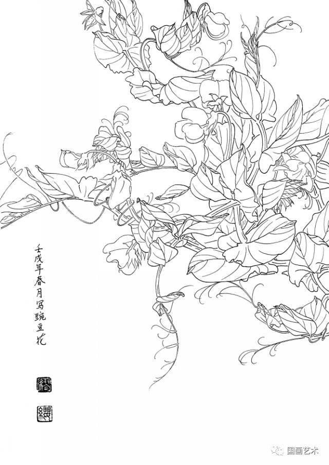 白描花卉写生范本:百花谱