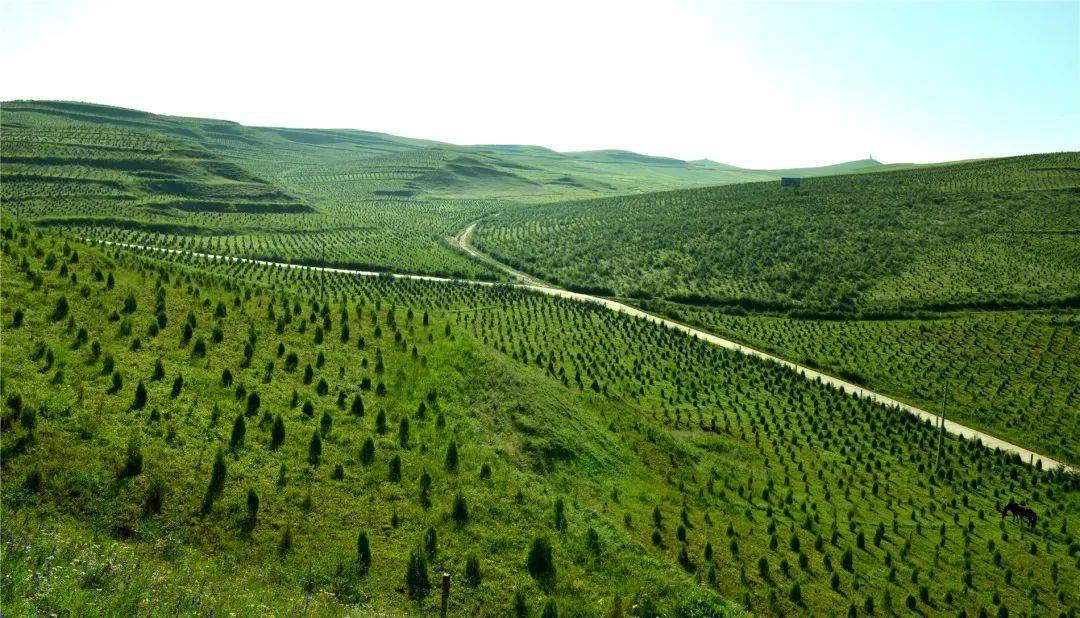 【特别报道】厚植底色 逐绿前行~走进甘肃省甘南州