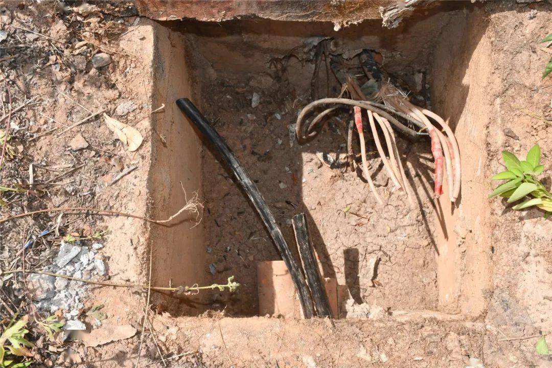 钦州男子来容县盗电缆2000米,涉案金额近百万!