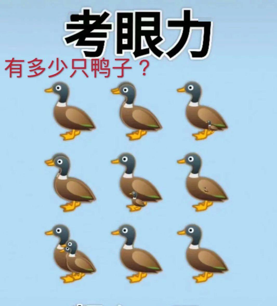 你能看到多少只鸭子?十个人九个会看错