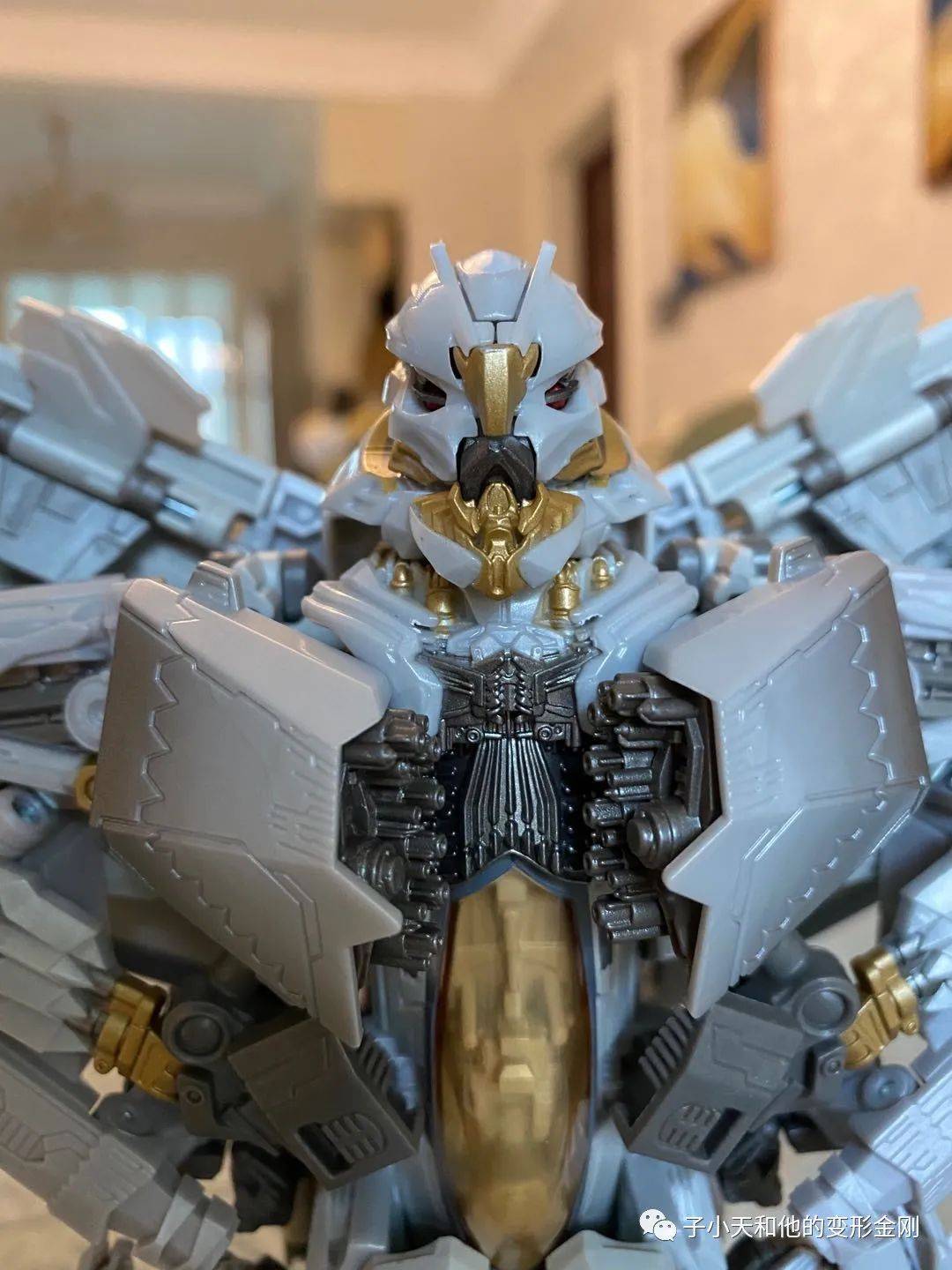 评玩具子小天硕函测评变形金刚mpm10红蜘蛛官方电影线年度大作