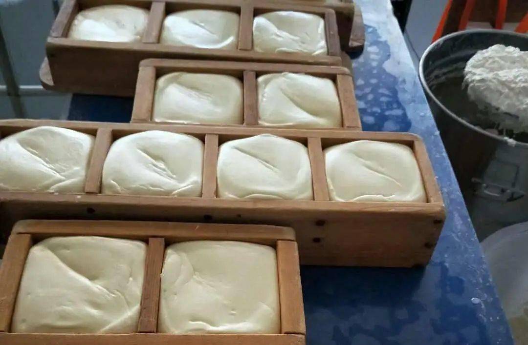 草原美食奶豆腐,怎容错过