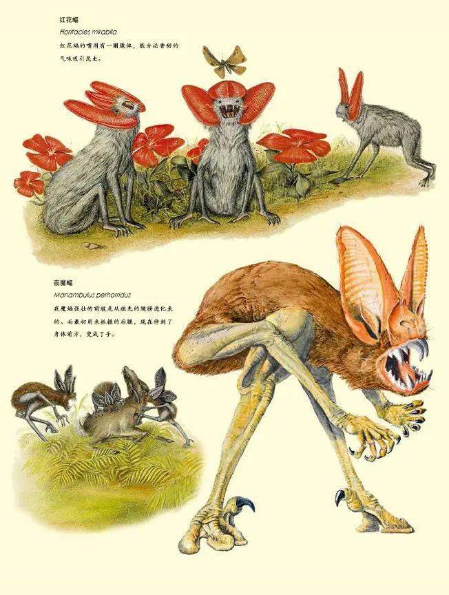 人类灭绝之后的地球又会是怎样一番景象?_动物