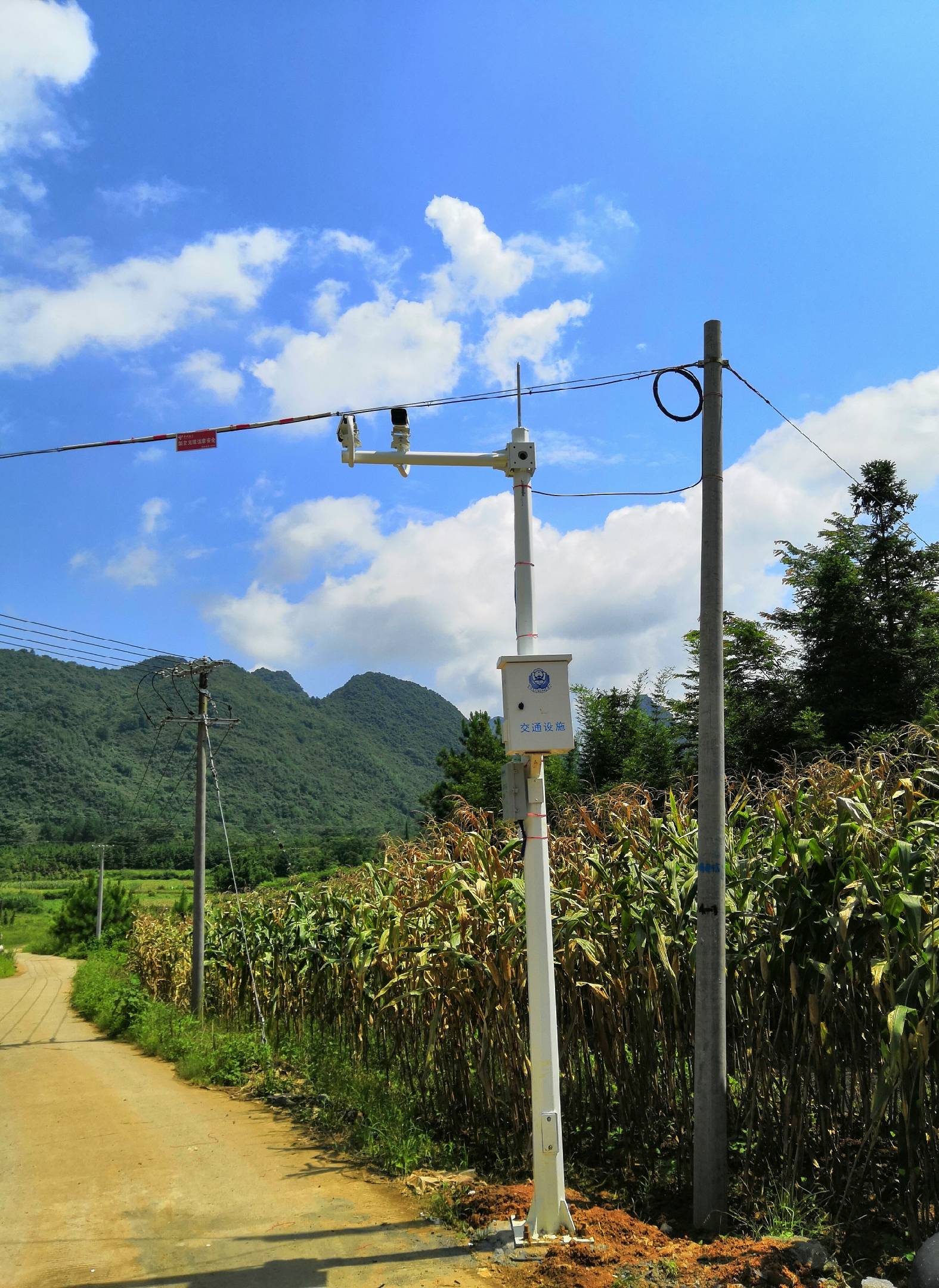 8月2日一大早清远市阳山县黎埠镇六古村村委会就接到村