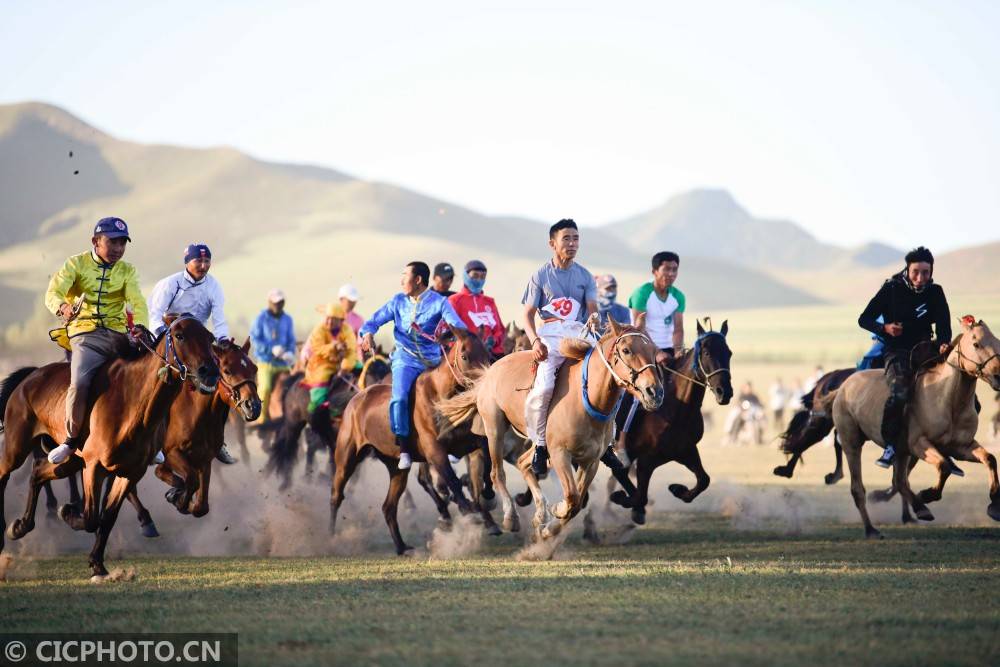 内蒙古赤峰:草原"奈日" 欢乐牧民