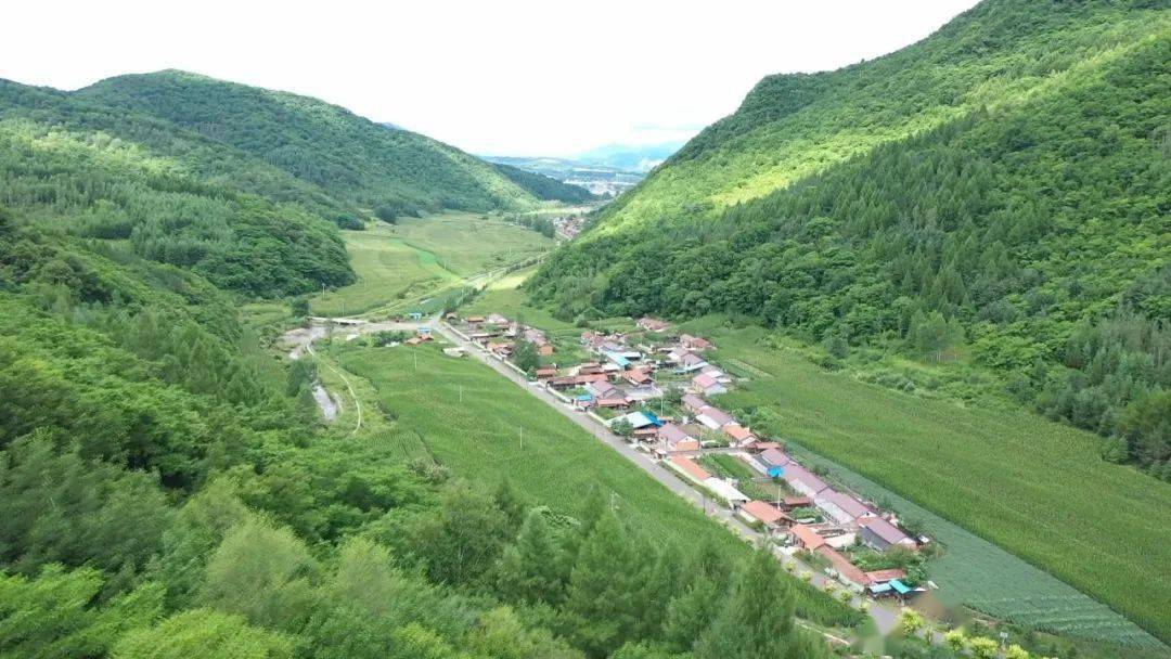 【书记代言】二道江区鸭园镇党委书记栗伟为家乡蜂蜜代言_通化市