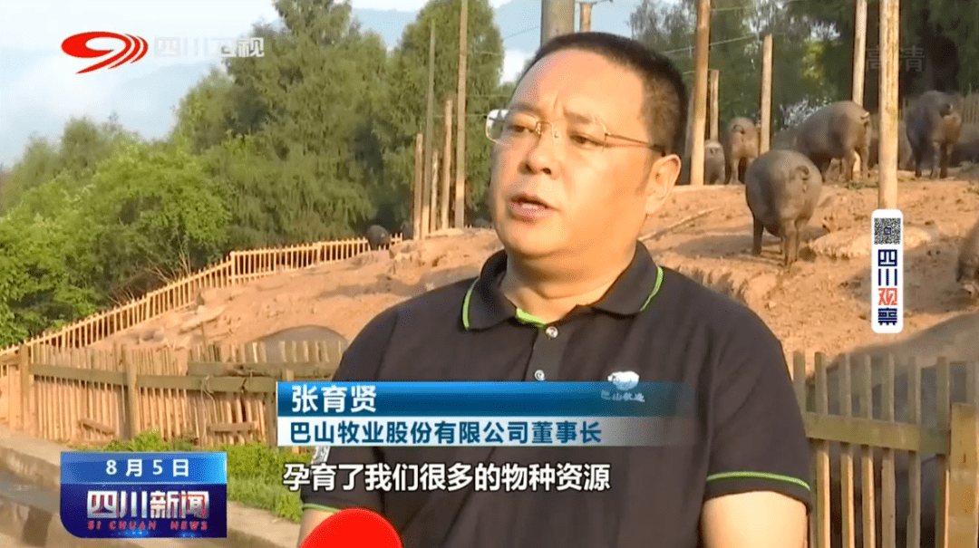 四川新闻丨张育贤土猪变金猪助乡亲脱贫奔康