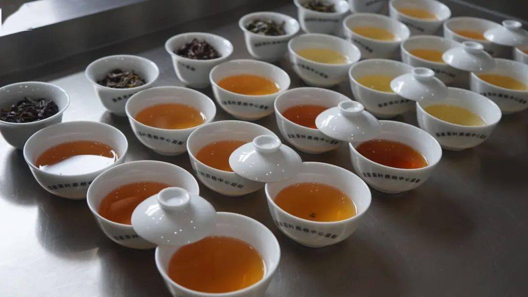 素业培训第三期初中级评茶员培训班开始招生啦