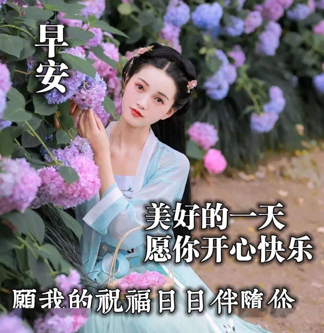 微信打動人心的早上好問候祝福語分享十張美女問候早安的圖片合集