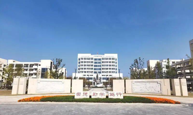 一把手谈龙港市社会事业局党委书记局长丁云勇坚定扛起重要窗口使命