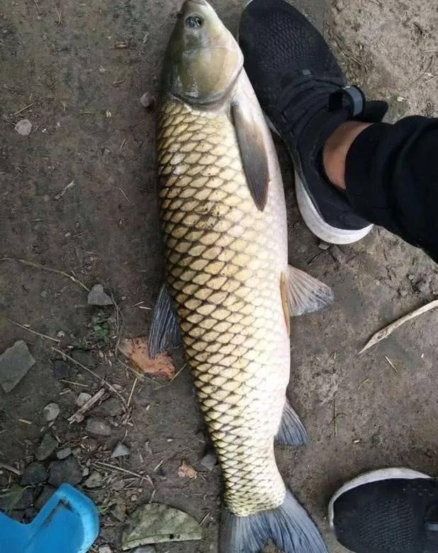 为啥你钓不到大鱼因为没人提醒你这几个误区是钓大鱼的大忌