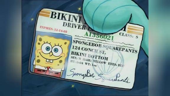 海绵宝宝会在有生之年拿到驾照吗不可能的