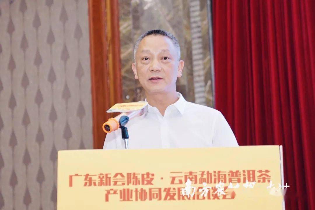 洪国正表示,近年来,勐海县主动服务和融入"千亿云茶产业"战略,充分