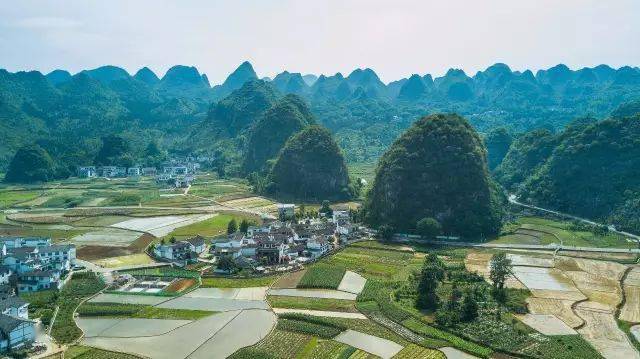 這就是所謂的峰成林,山峰緊挨著山峰,形成山林的規模