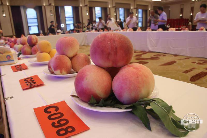 秦安"桃王"身价不菲!_手机搜狐网