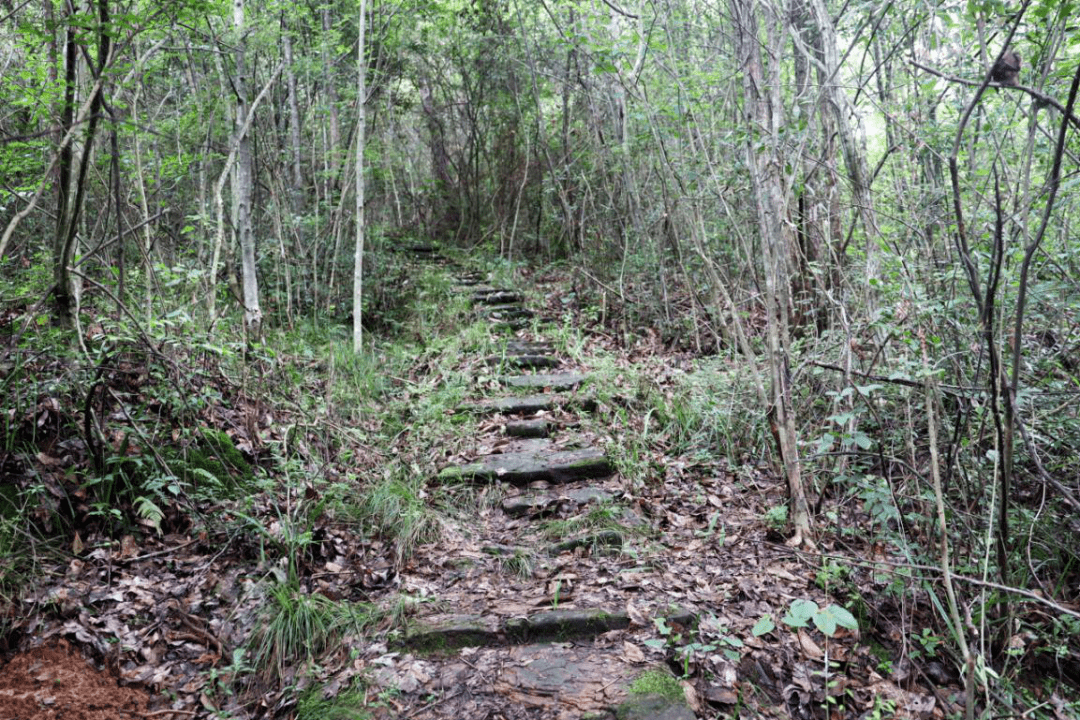 韶关新发现一条重要古道!沿途有亭,有桥,有故事!