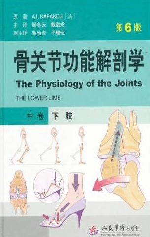 熱議書評:《骨關節功能解剖學(上卷):上肢(第6版)》是人體骨肌系統