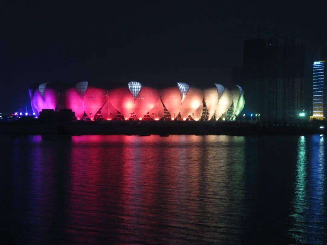 有位老杭州14年间给大莲花拍了上千张照片