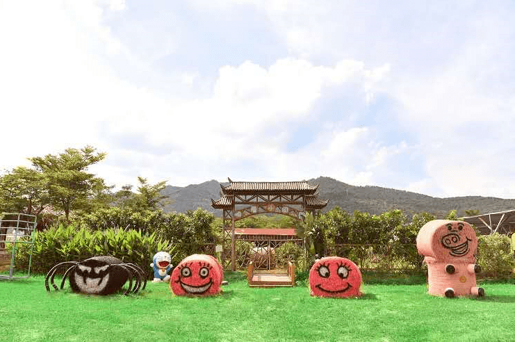 【疯狂原始人亲子一日营】天竺山飞越丛林,金龙湾草垛野人部落!