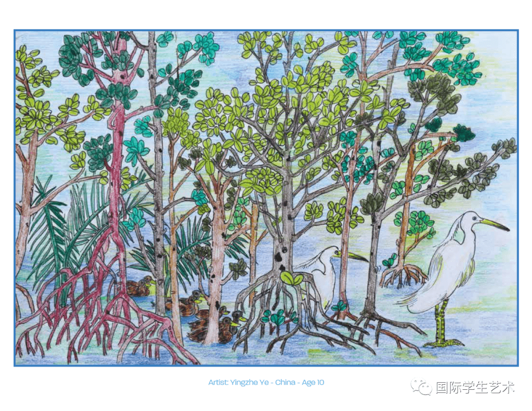 红树林绘画作品图片