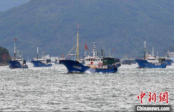 8月4日,各类回港避风的渔船从福建省福鼎市沙埕港驶出.