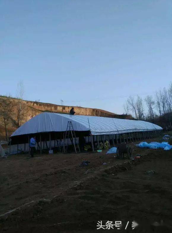 建鹅棚……经济实用
