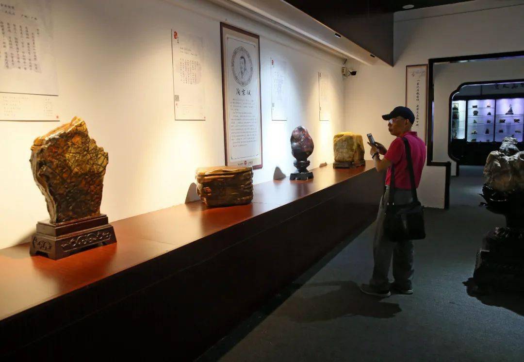 这肘子怕是硌牙来广富林郊野公园的展馆品一品这桌奇石宴