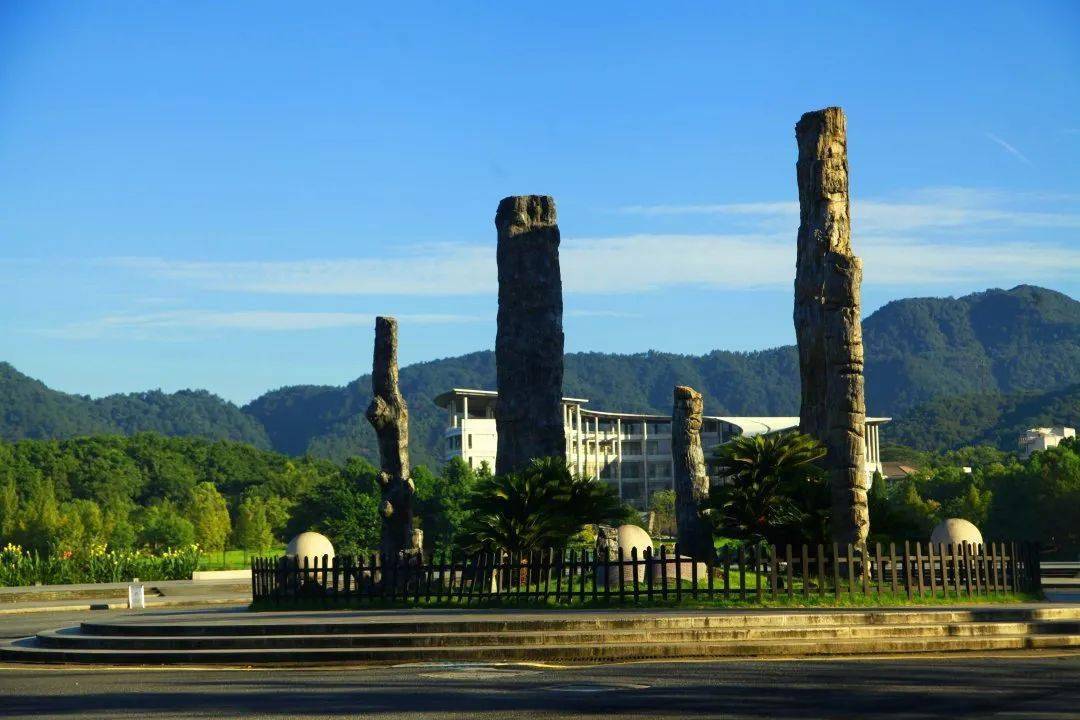 云寄思念你日思夜想的浙农林大美得那么纯净