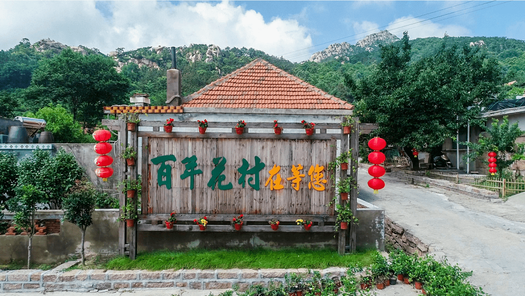 央视聚焦威海花村画村事儿