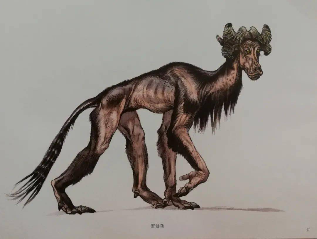 怪物绘本惠特拉奇怪物奇幻生物图鉴设定集绘本