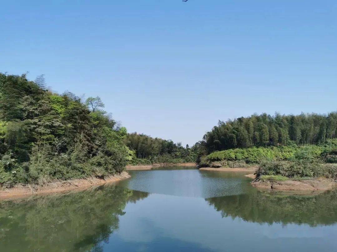 合江湿地公园图片图片