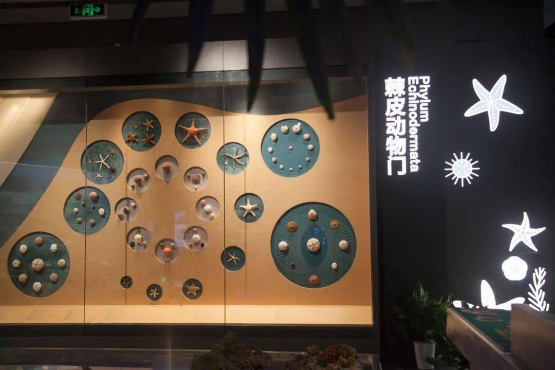 基地动态|中国湿地博物馆序厅升级啦!这些"宝贝"等你来看